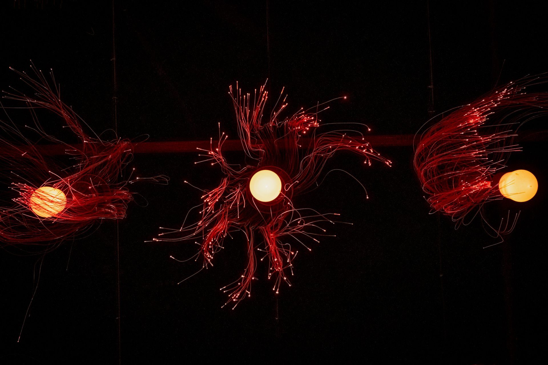 Red fiber optic strands glowing against black